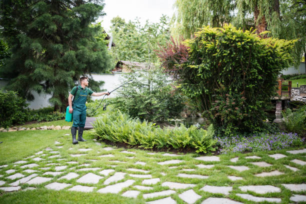 Best Exterminator Services  in Avoca, IA