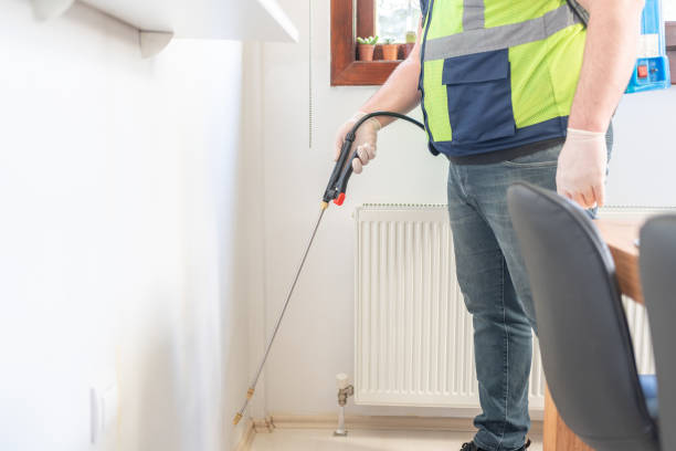 Best Flea Control Services  in Avoca, IA