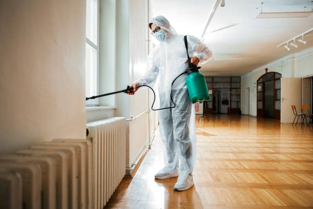 Flea Control Services in Avoca, IA