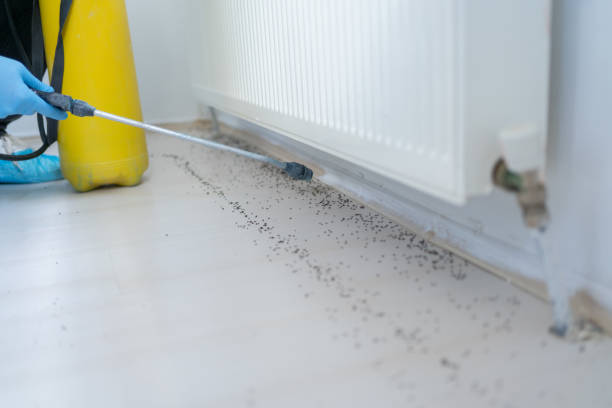 Best Residential Pest Control  in Avoca, IA